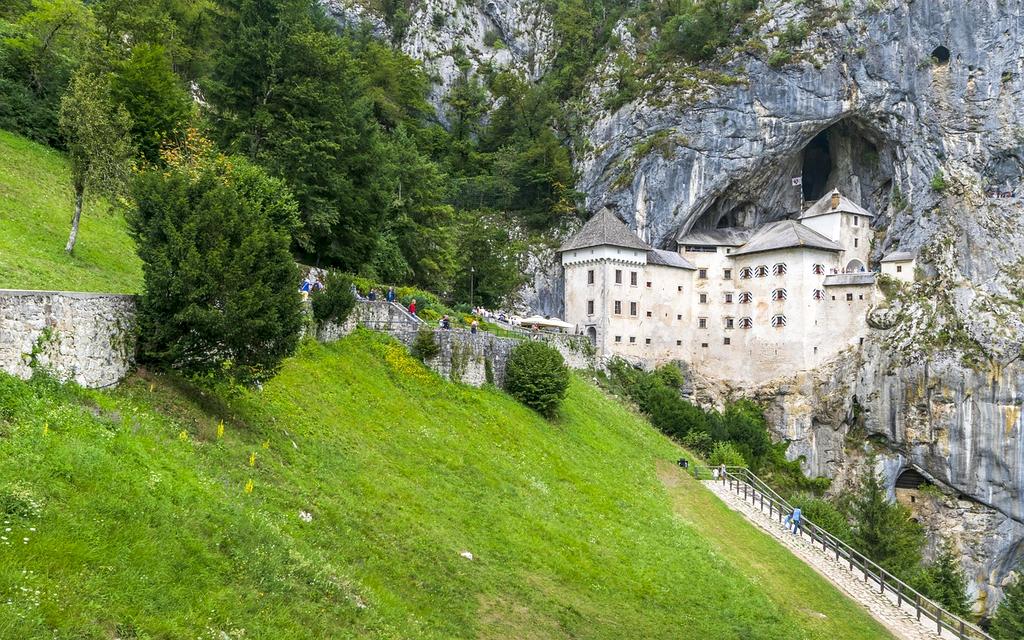 Green wall in modern interior for better air quality