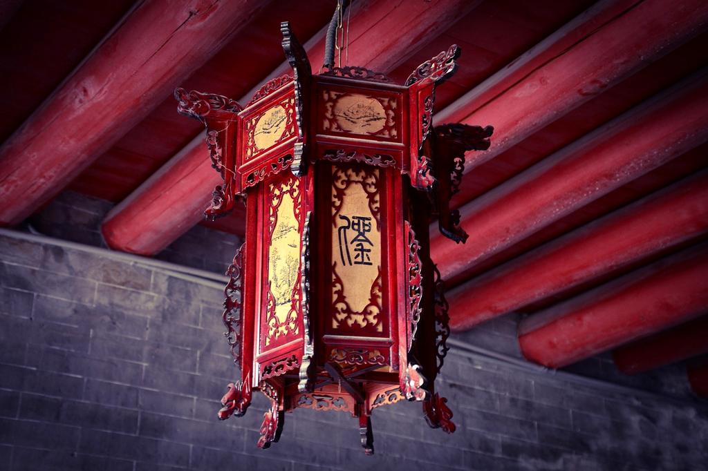 Biophilic design with indoor plants and natural sunlight