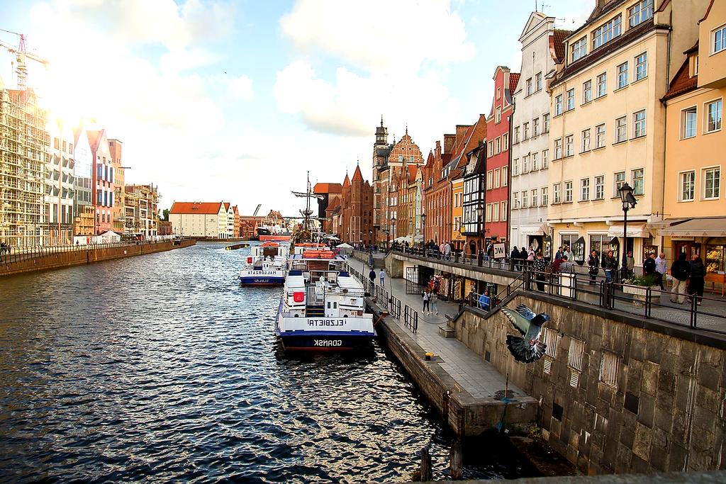 Solar panels on modern eco-friendly house roof